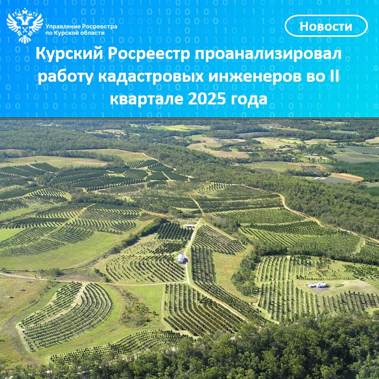 Курский Росреестр проанализировал работу кадастровых инженеров во II квартале 2025 года.